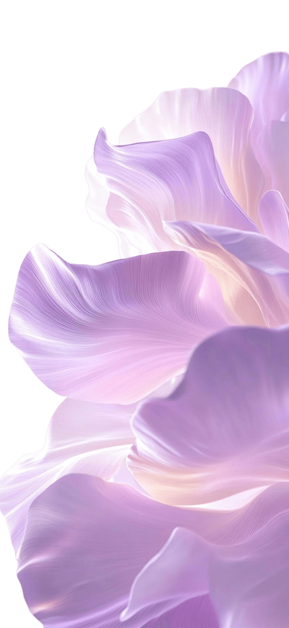 Flower Decoration