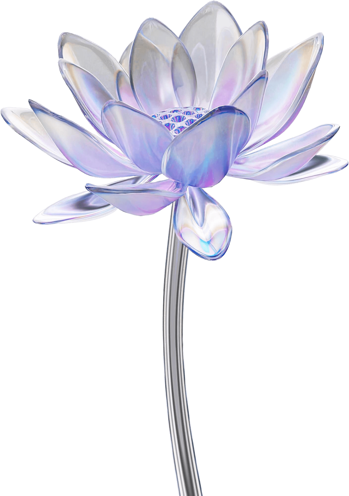 Decoration